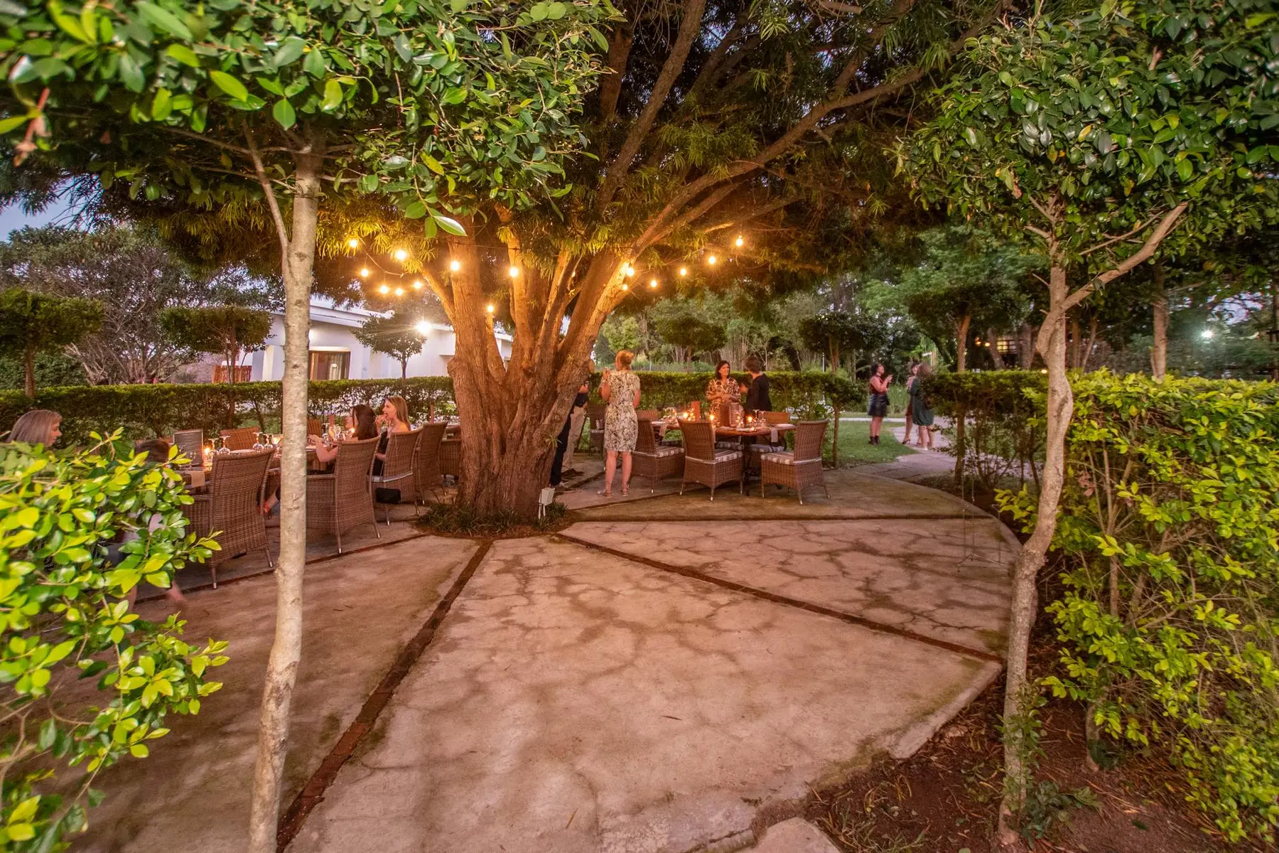 The Grove Restaurant courtyard beneath mature trees