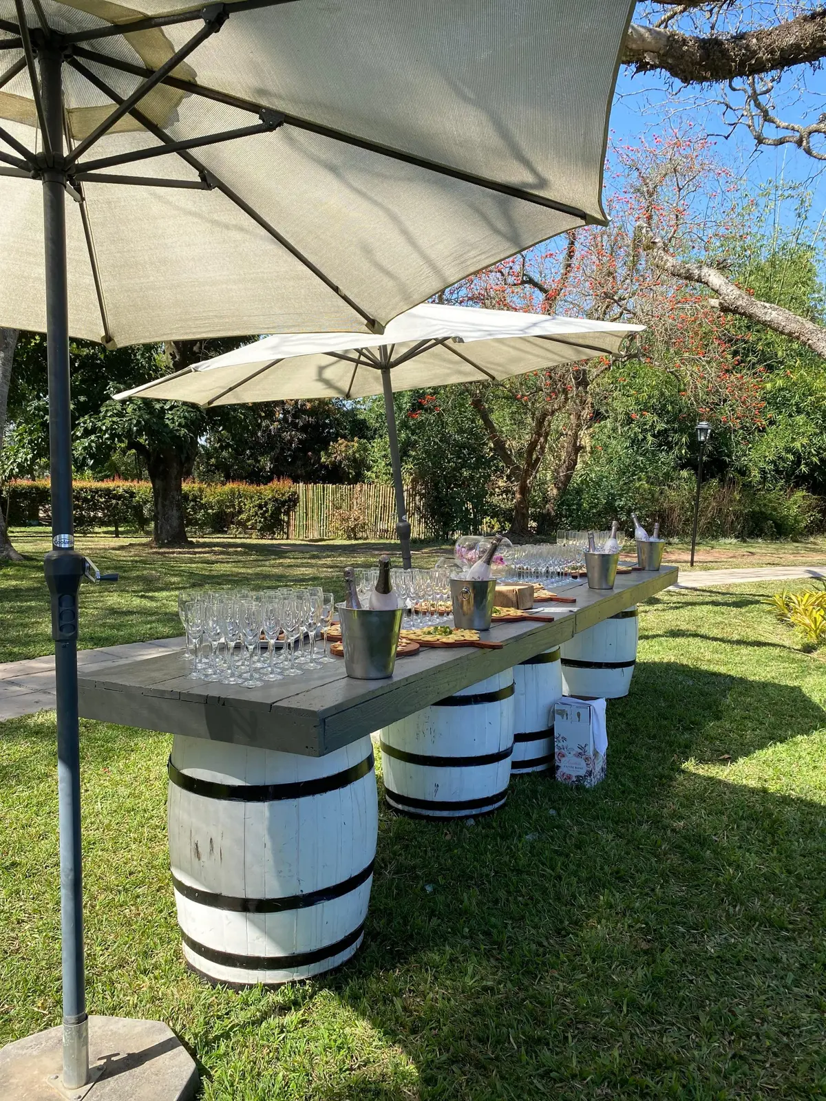 Outdoor celebration arranged on the lawn