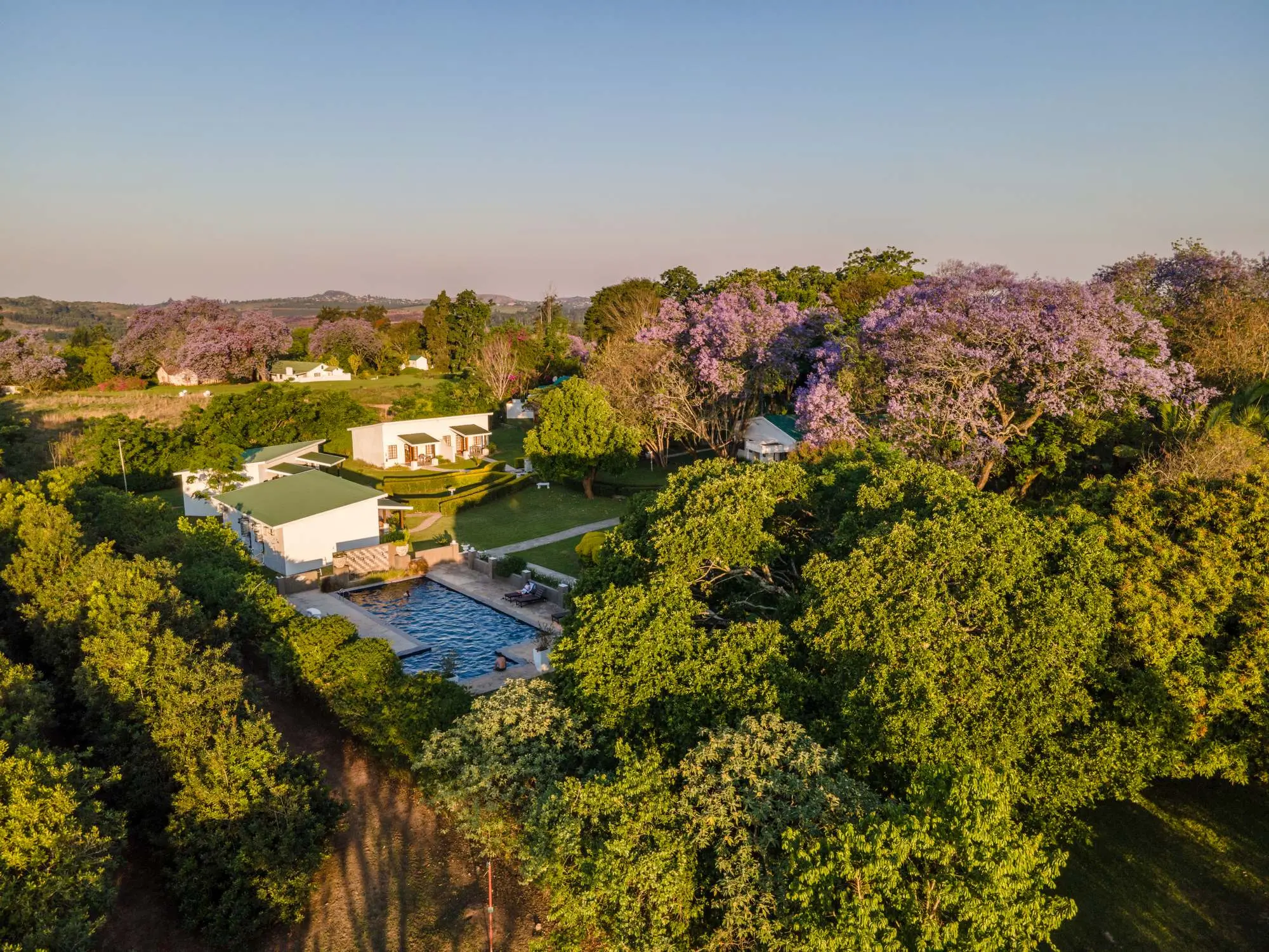 Aerial view of Nut Grove Manor surrounded by mature gardens