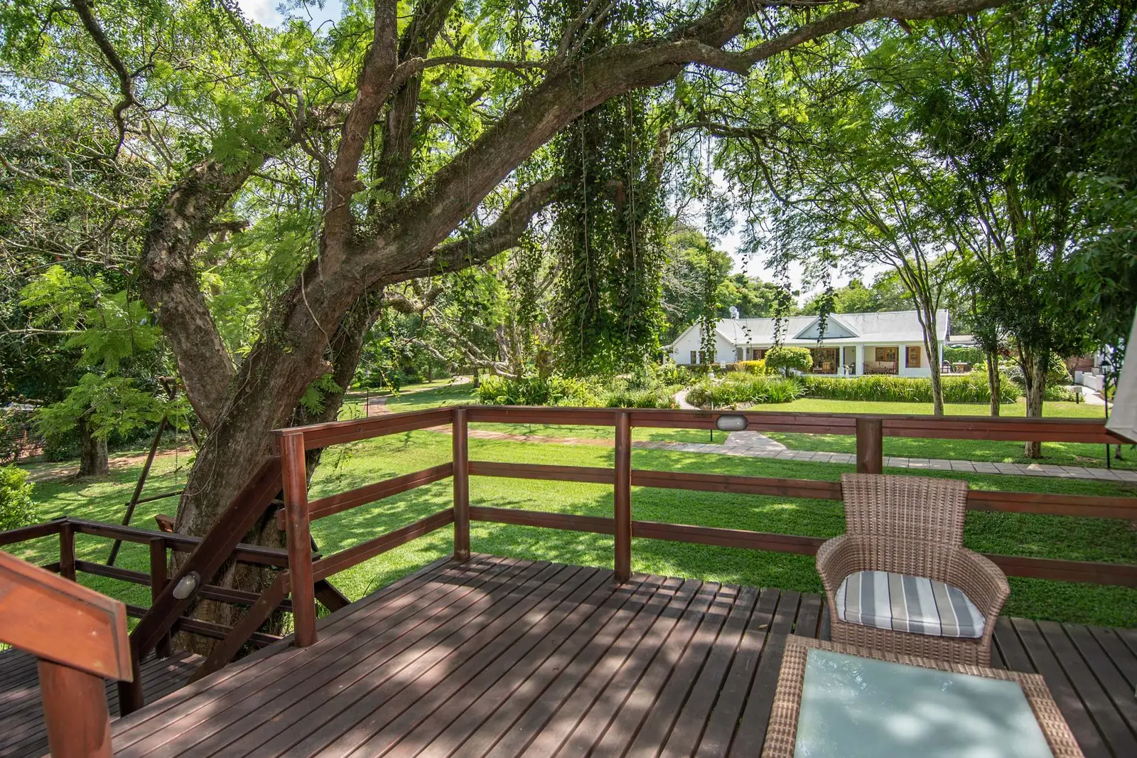 The elevated spa deck surrounded by trees